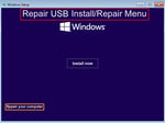 Windows 10 Home & Professional Install, Repair, Recover & Restore 32/64 Bit USB-French